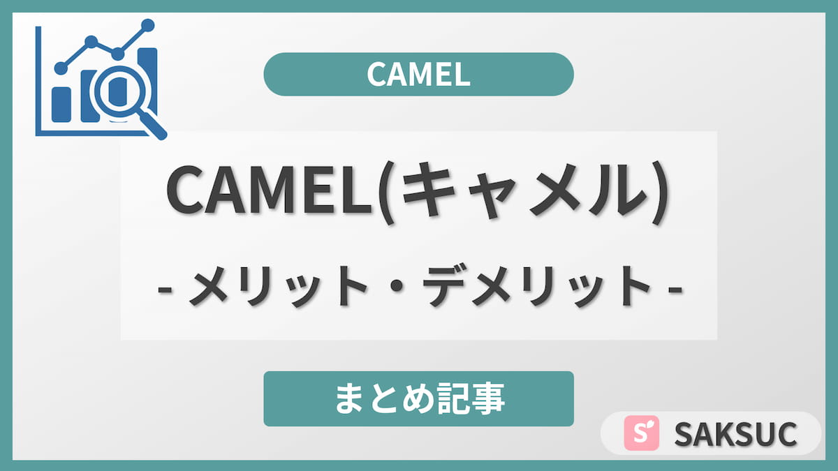 CAMEL(キャメル)の実態を調査：メリット・デメリットを冷静にまとめた記事のアイキャッチ